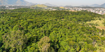 Prefeitura do Rio desiste de autódromo: Floresta do Comboatá será preservada