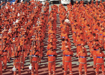 Em 1 mês, Comlurb fez 220 operações e removeu 583 toneladas de lixo pela cidade