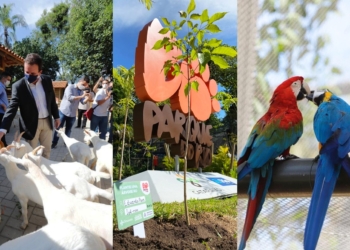 Prefeito Eduardo Paes inaugura o ‘BioParque do Rio’, um novo conceito de zoológico