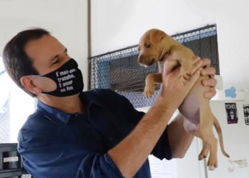 Eduardo Paes sanciona lei: motorista que atropelar animais será obrigado a prestar socorro