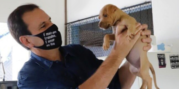 Eduardo Paes sanciona lei: motorista que atropelar animais será obrigado a prestar socorro