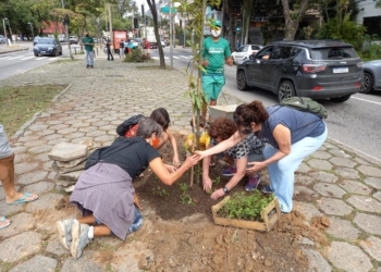 Prefeitura fará cinturão verde de árvores frutíferas na Lagoa Rodrigo de Freitas