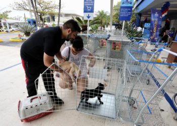 Rio de Janeiro é a primeira capital a permitir a entrada de cães e gatos em supermercados