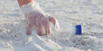 Comitê Plástico Circular Rio é criado na cidade para incentivar a prática de ações sustentáveis